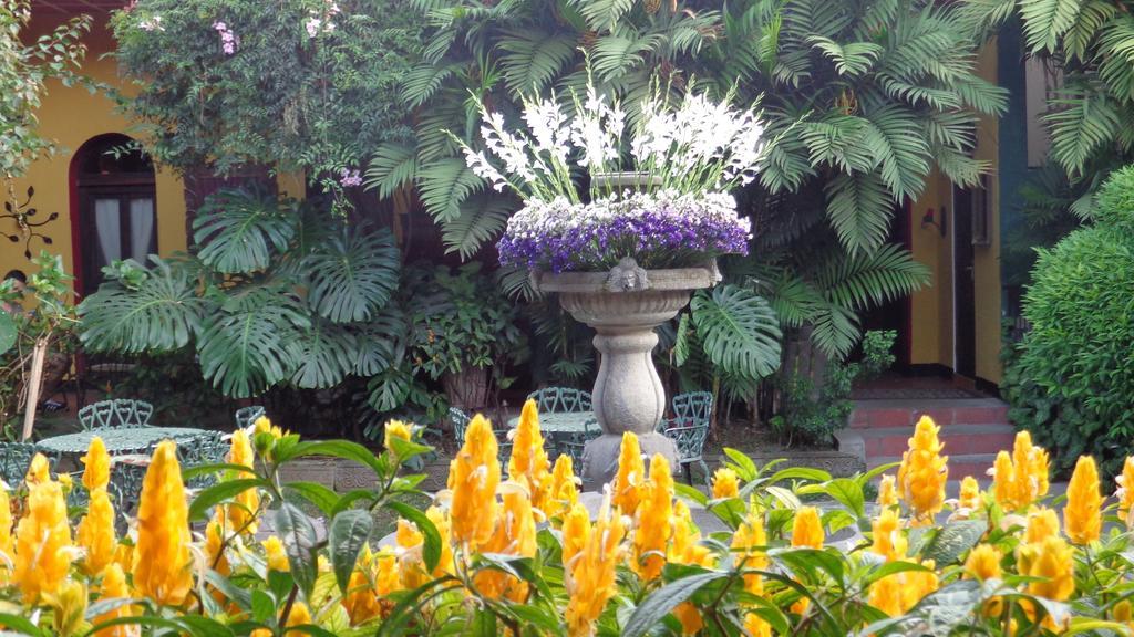 Hotel Casa Antigua By Ahs מראה חיצוני תמונה